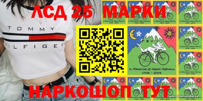 скорость Новокубанск