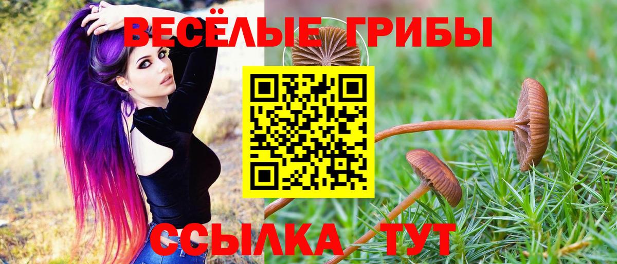 МЕФ   Урюпинск  Вход с VPN  Меф МЯУ МЯУ  Конопля 