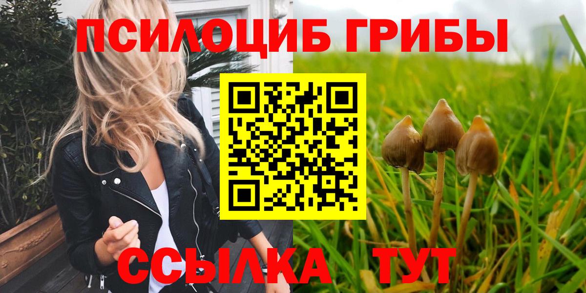 Галлюциногенные грибы Magic Shrooms  Вход с VPN  Урюпинск 