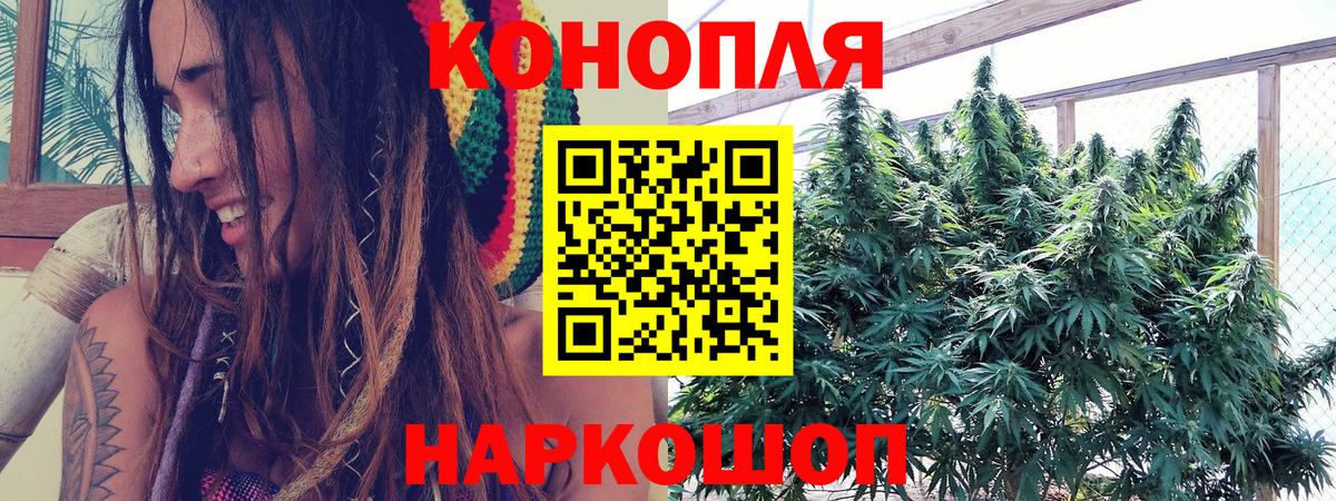 Бошки Шишки MAZAR Урюпинск